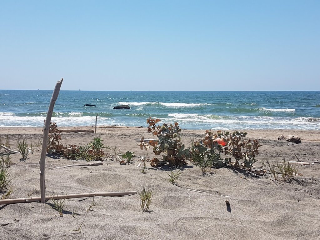 Focene Beach, Fiumicino