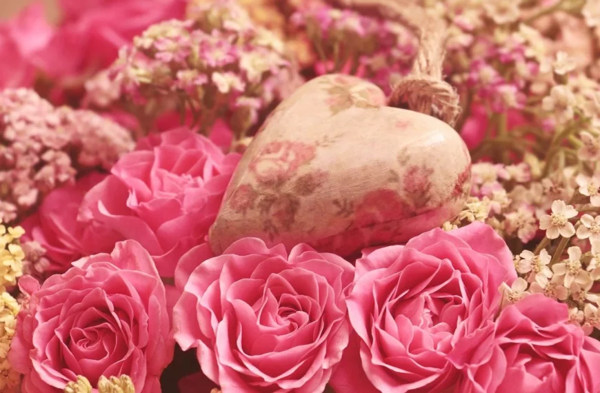Festival of roses in Morocco