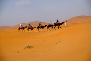 Camel trekking with the 3-day desert tour from Marrakech via viator