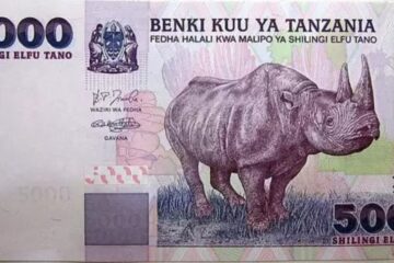 Tanzania shilling: the currency