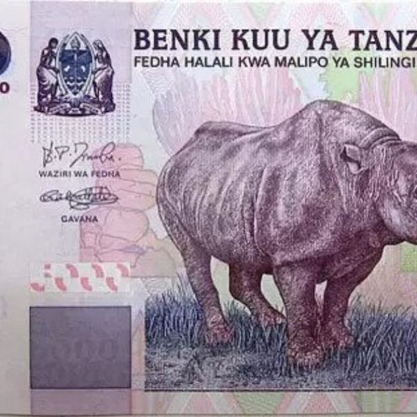 Shilling of Tanzania: your currency complete guide