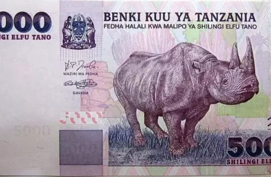 Tanzania shilling: the currency