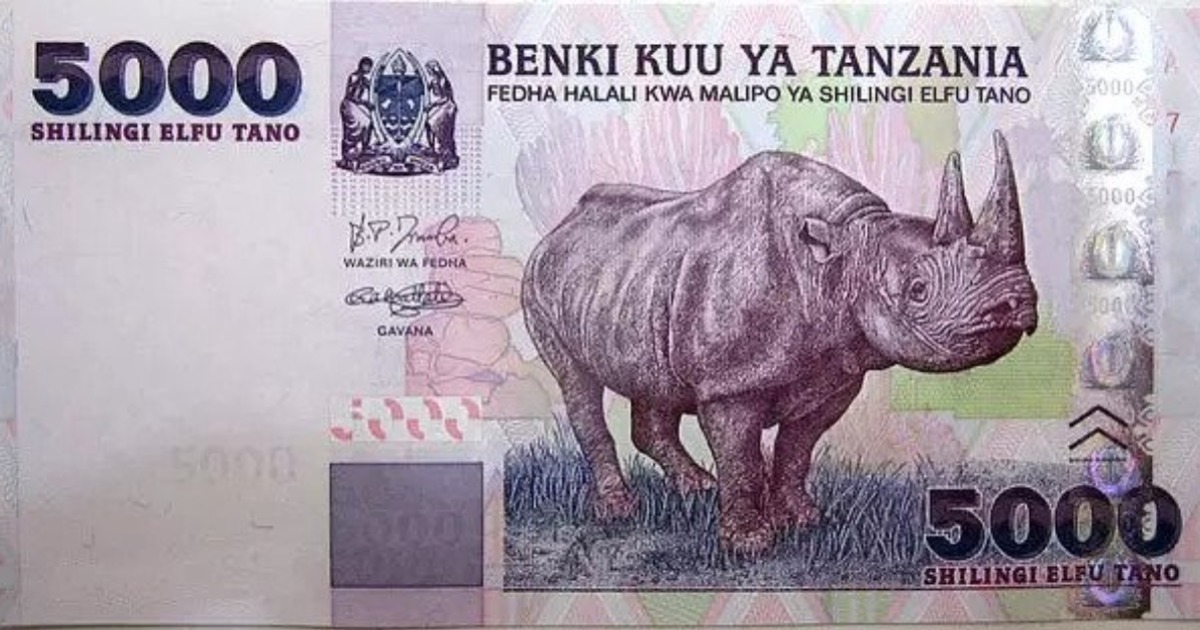 Tanzania shilling: the currency