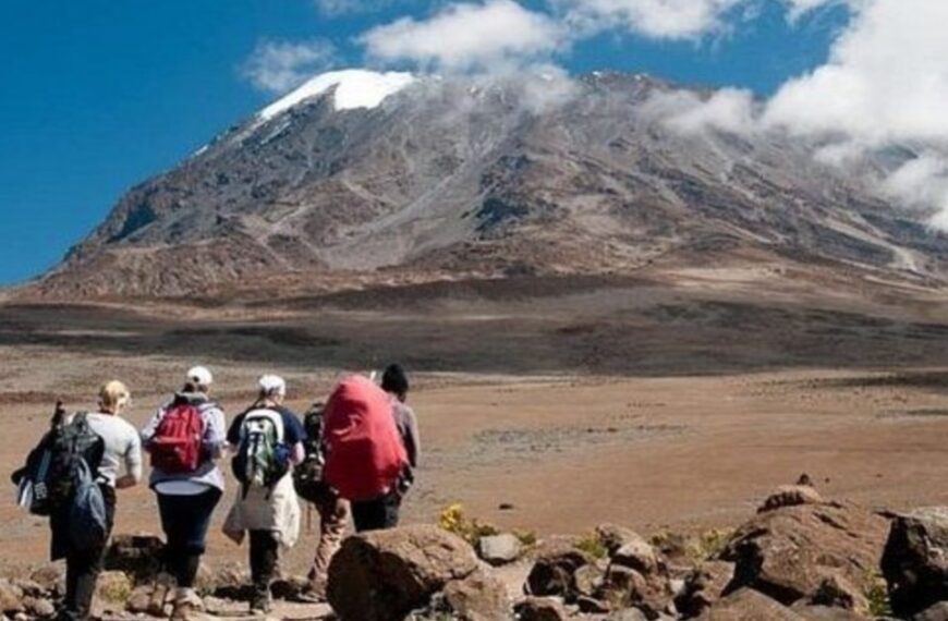 6 days Tanzania safari via Kilimanjaro & Machame