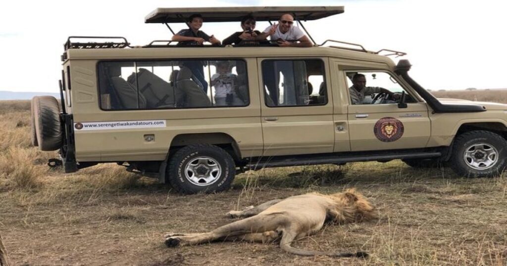 4WD tanzania tour 5 days safari.
