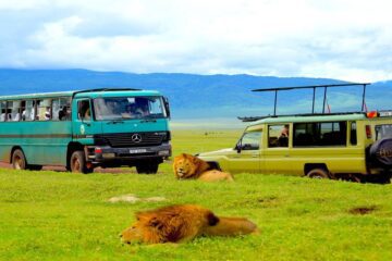 Ngorongoro Crater, one of the best things to see in the 5 day safari tour in Tanzania