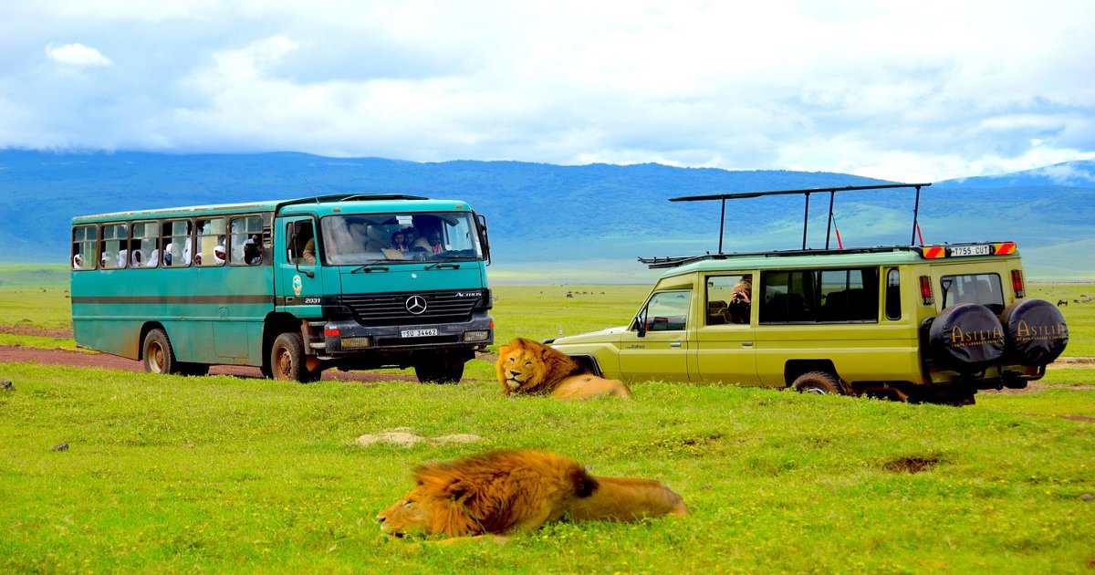 Ngorongoro Crater, one of the best things to see in the 5 day safari tour in Tanzania