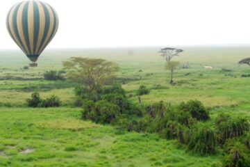 The best hot air balloon experience in the national parks of Tanzania.
