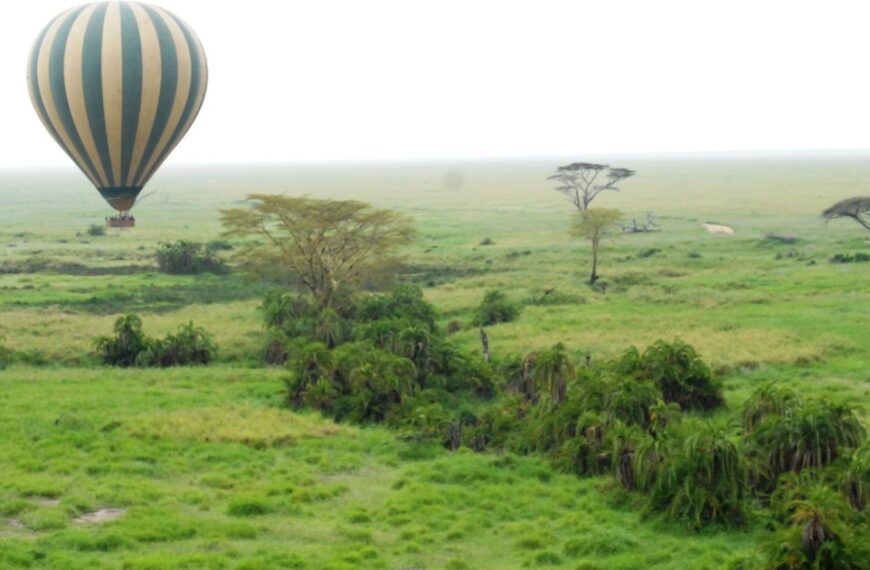 The best hot air balloon experience in the national parks of Tanzania.