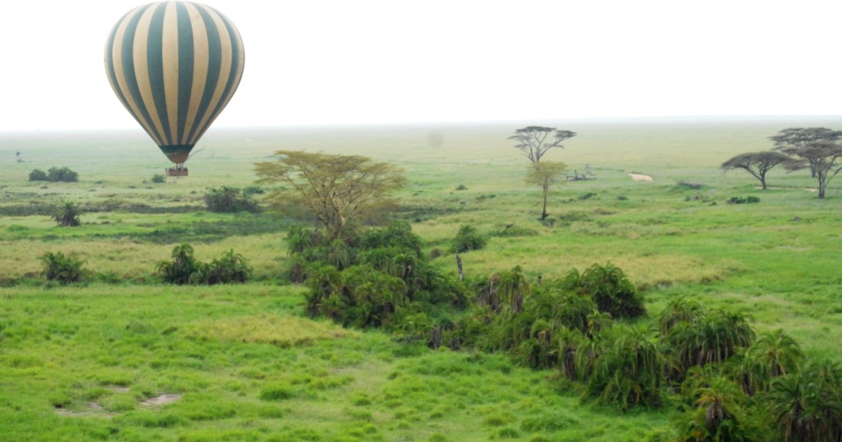 The best hot air balloon experience in the national parks of Tanzania.