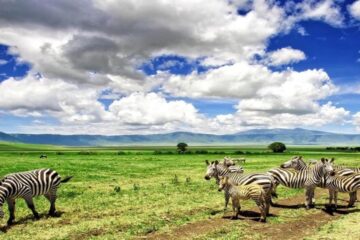 Serengeti NP, one of the best places you will see during the safari tour in Tanzania for 3 days