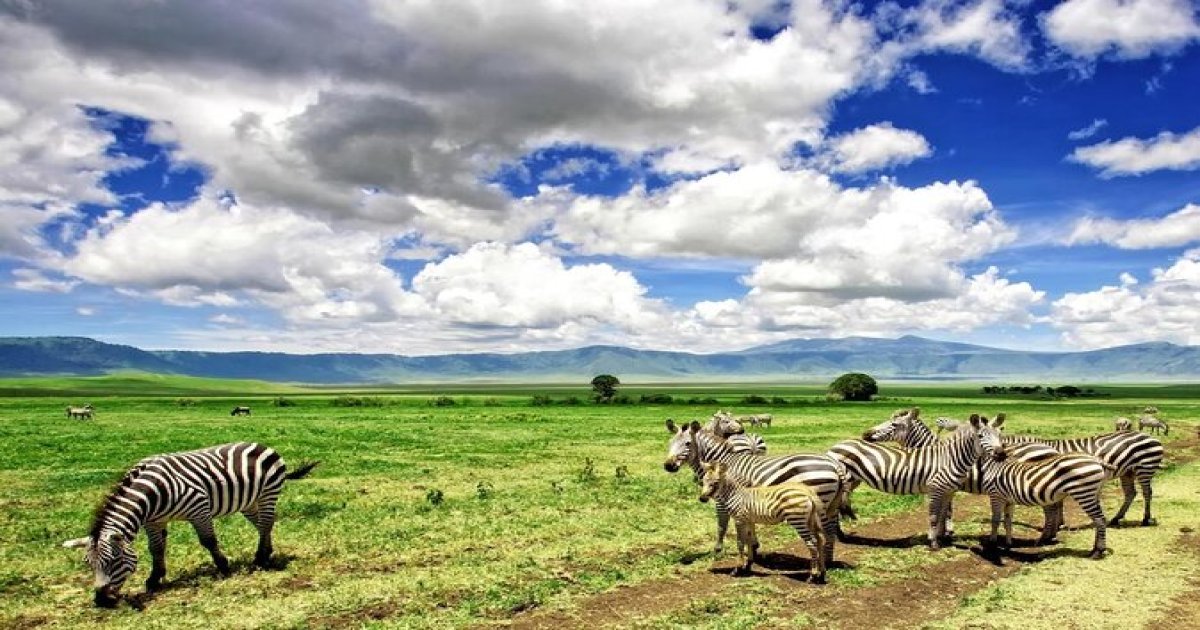 Serengeti NP, one of the best places you will see during the safari tour in Tanzania for 3 days