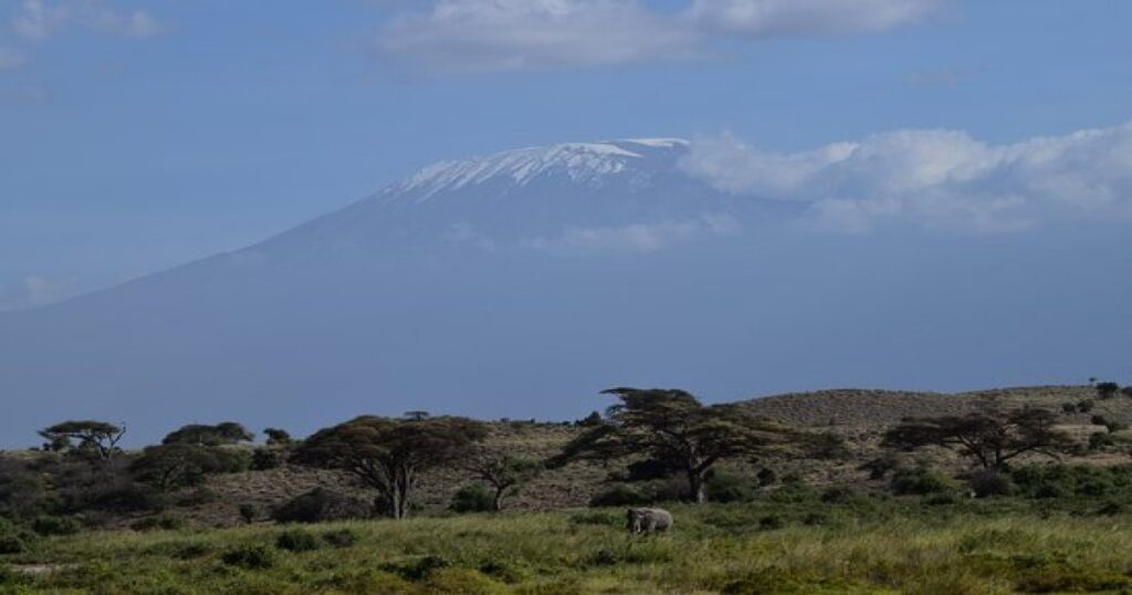 The Kilimanjaro, you will see it in the Tanzania safari of the 7 says