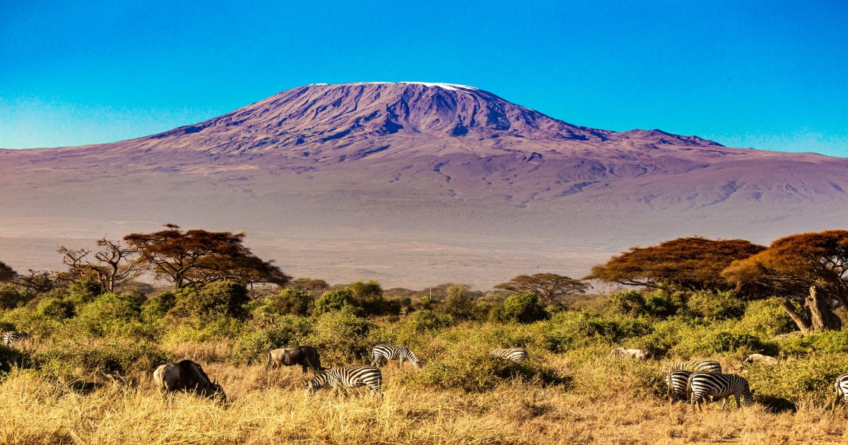 The best 7 days Tanzania safari