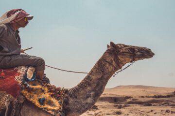 How to ride a camel in the desert