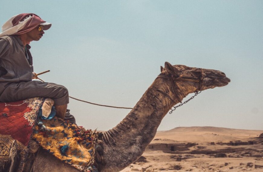 How to ride a camel in the desert