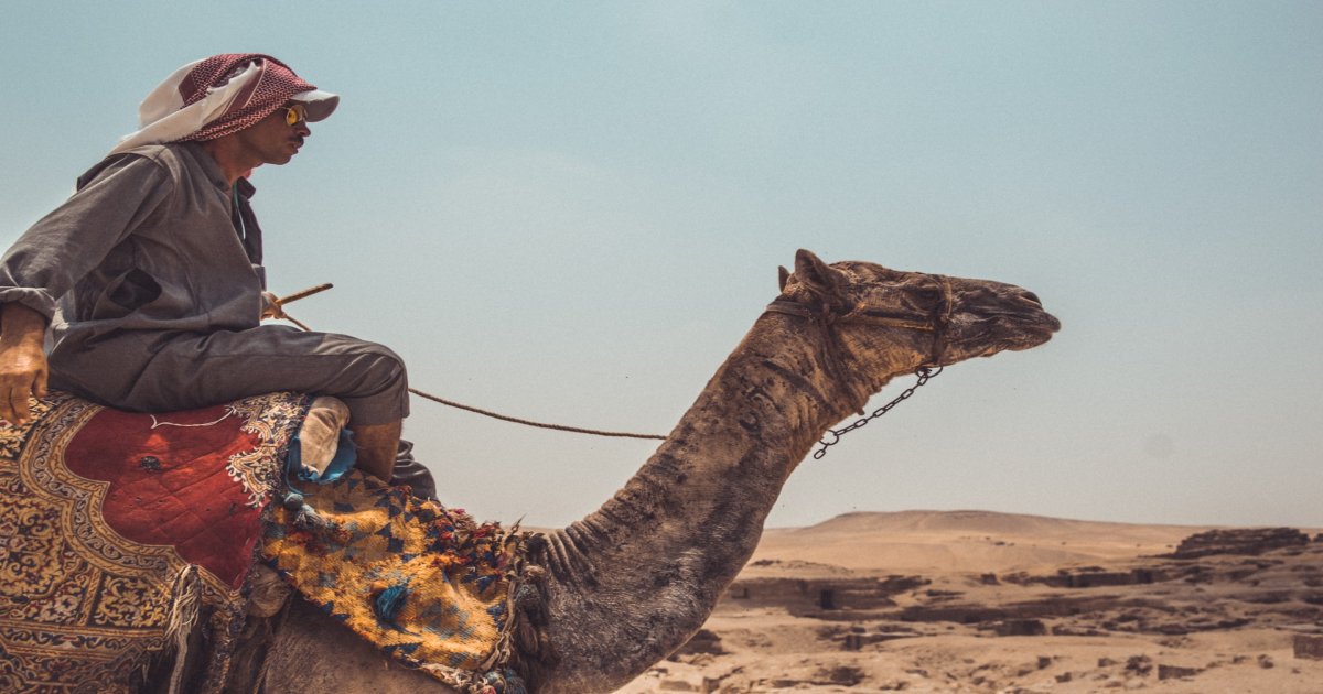 How to ride a camel in the desert