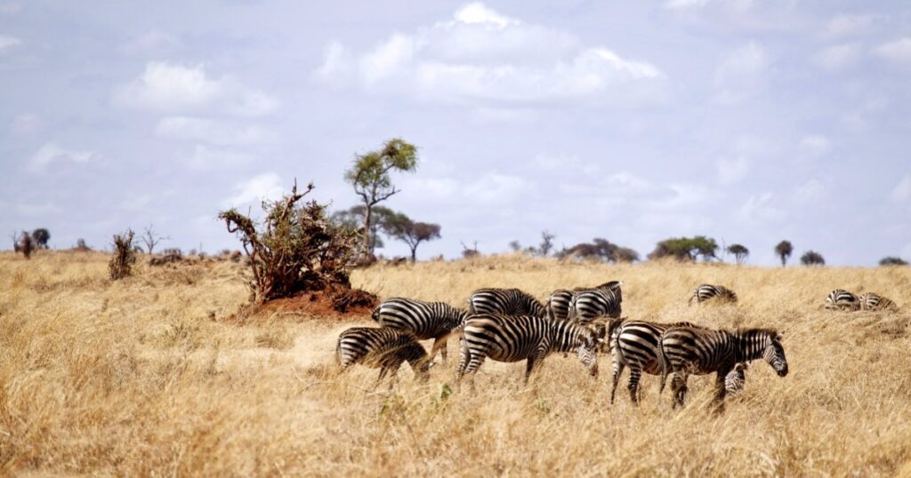 Arusha national park best things to see and do in Tanzania