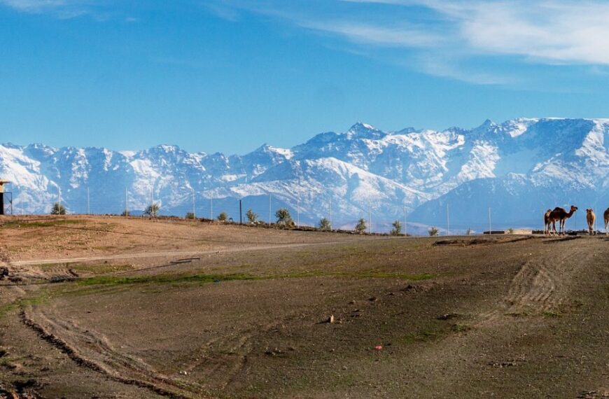 Agafay desert day trips