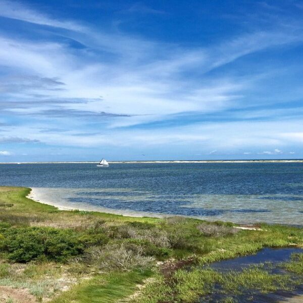 Big Lagoon State Park in Pensacola Fl