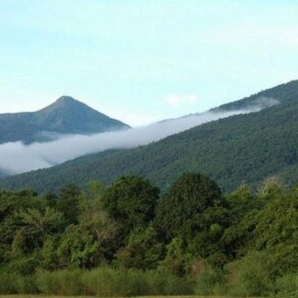 Mahale Mountains National Park: A Tanzanian Gem