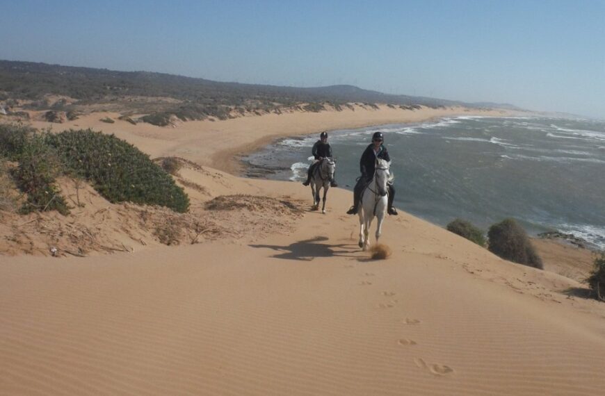 Best horse riding Essaouira experience