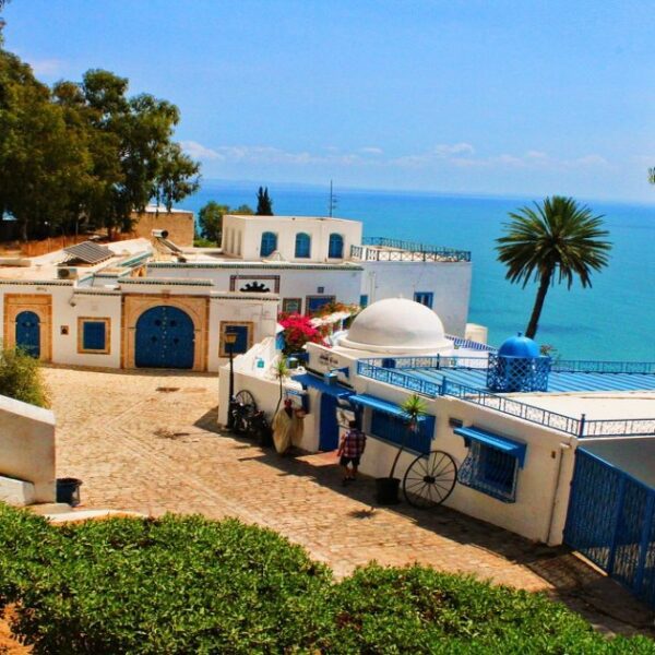Sidi Bou Said Travel Guide: All What You Need To Know