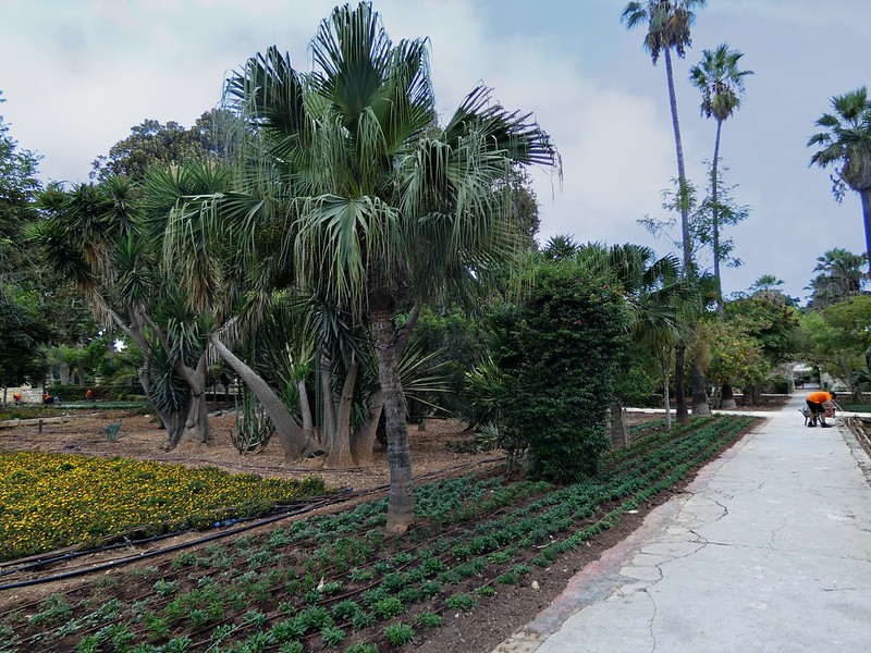 San Anton Gardens in Attard, Malta things to see and do