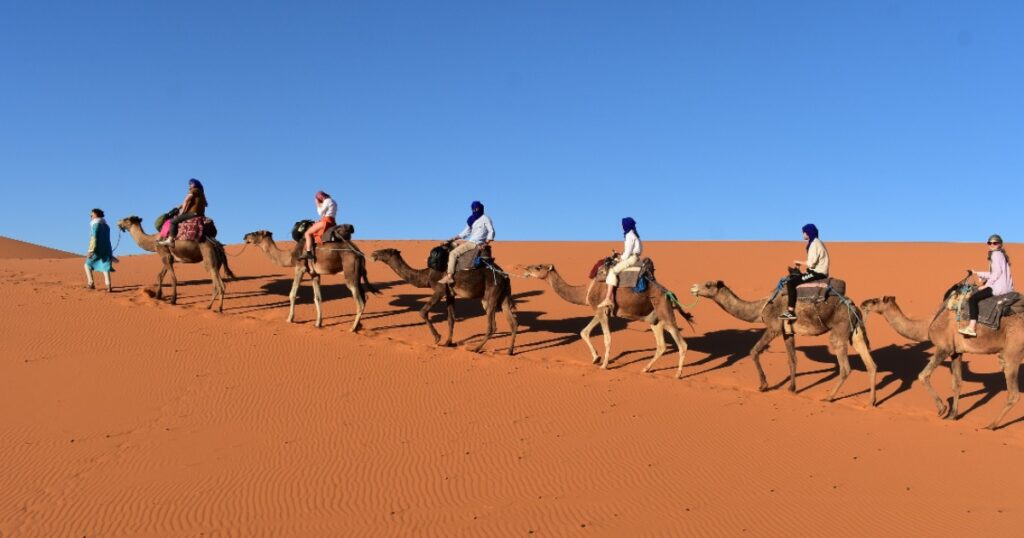 Camel trekking in Merzouga desert