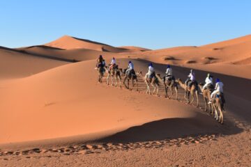 Camel trekking in Merzouga dseert as one of the best things to do.