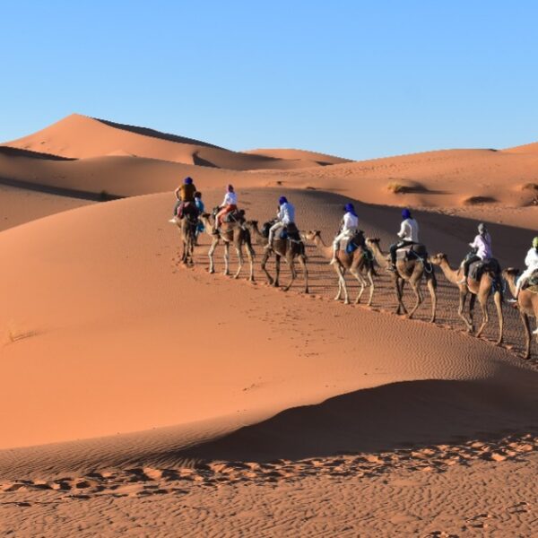Merzouga Travel Guide: Best Things To Do