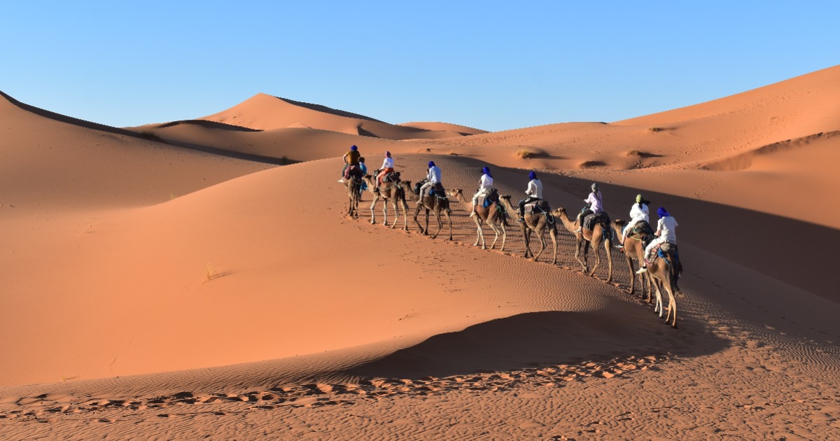 Camel trekking in Merzouga dseert as one of the best things to do.