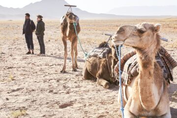 Zagora camel ride and the best things to do