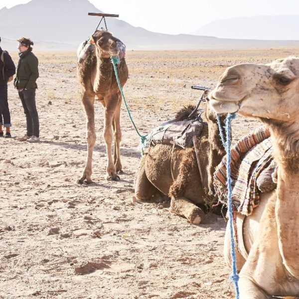 Zagora Travel Guide: Best Things To Do