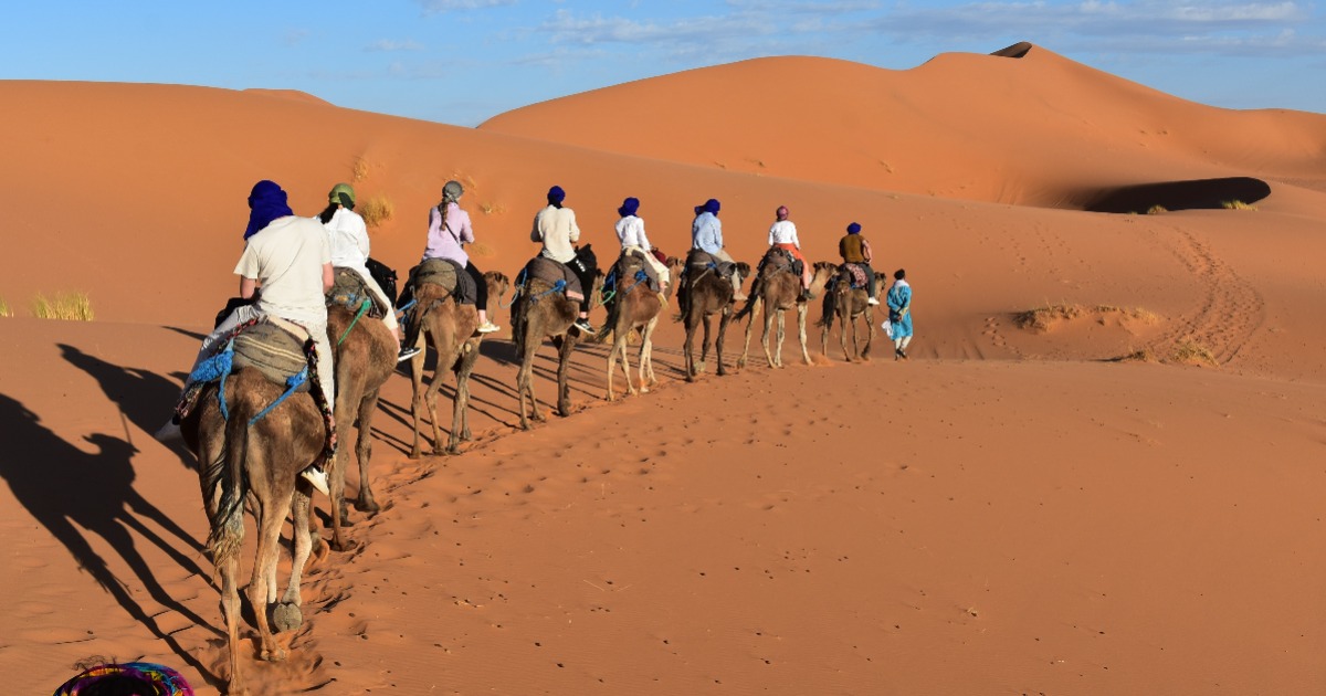 Camel trekking in Merzouga from Fes to Marrakech