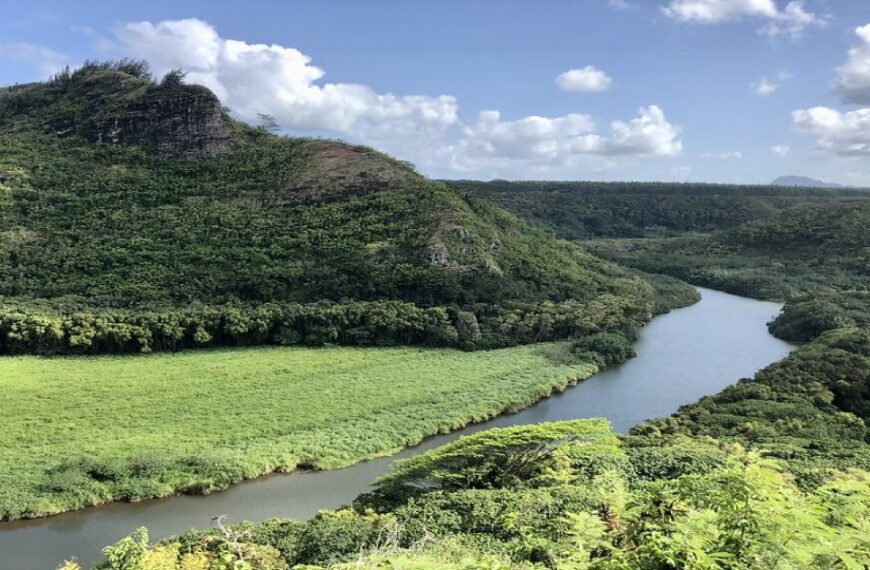 Entire Kauai Island Air Tour