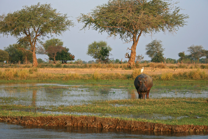 How To Get To Mana Pools