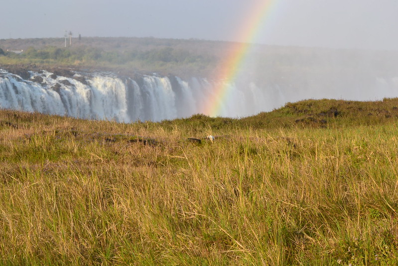 Victoria Falls, Best Things To Do In Zimbabwe