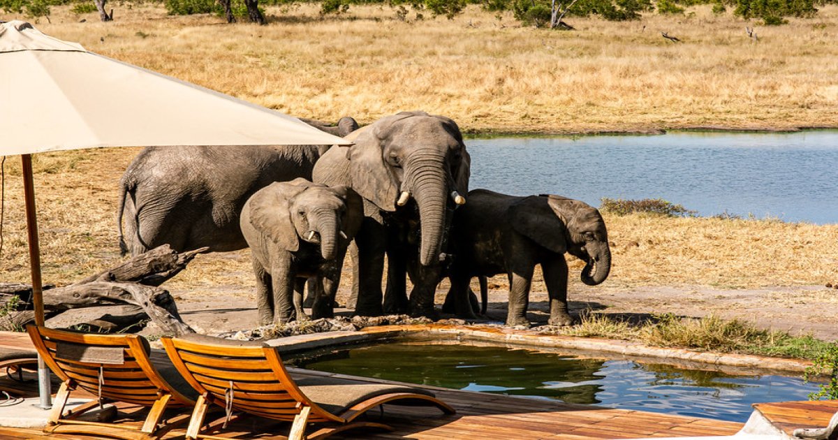 Hwange National Park in Zimbabwe